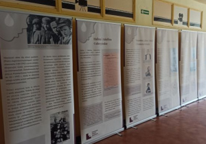 Zdjęcie pokazuje kolejno roll-upy.