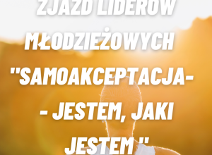 slajd grafiki- VII Wojewódzki Zjazd Liderów Młodzieżowych